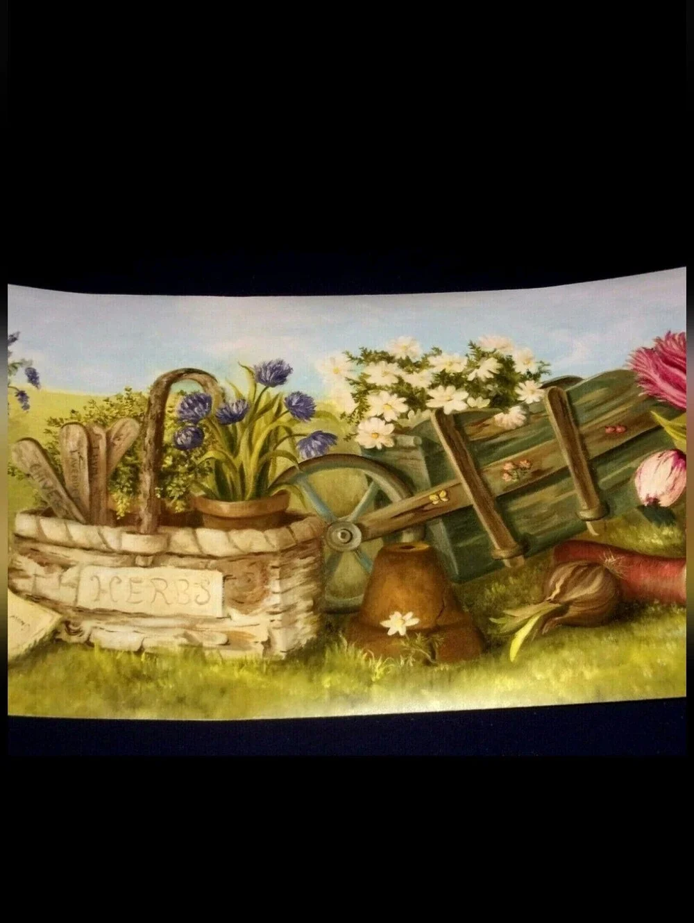 Brewster Home 4 Rolls Botanical Floral Cottage Grandmacore Border Wallpaper